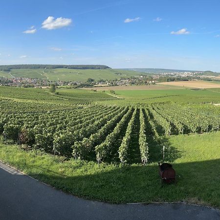Вилла Au Coeur Du Terroir Champenois Chavot-Courcourt Экстерьер фото