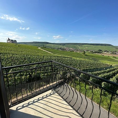 Вилла Au Coeur Du Terroir Champenois Chavot-Courcourt Экстерьер фото