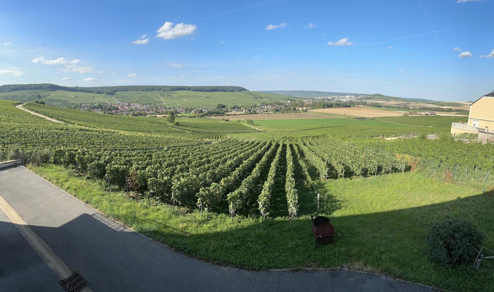 Вилла Au Coeur Du Terroir Champenois Chavot-Courcourt Экстерьер фото