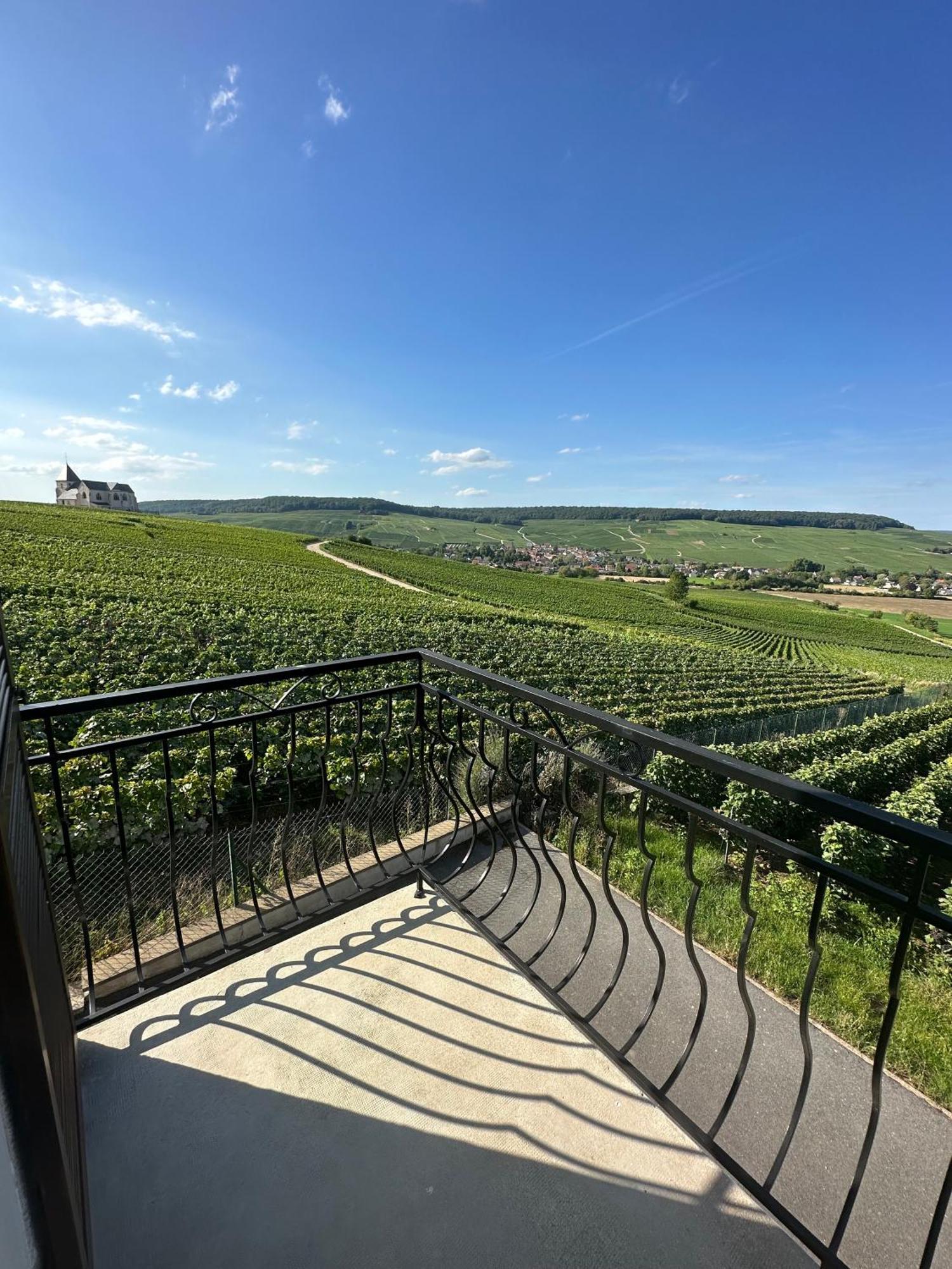 Вилла Au Coeur Du Terroir Champenois Chavot-Courcourt Экстерьер фото