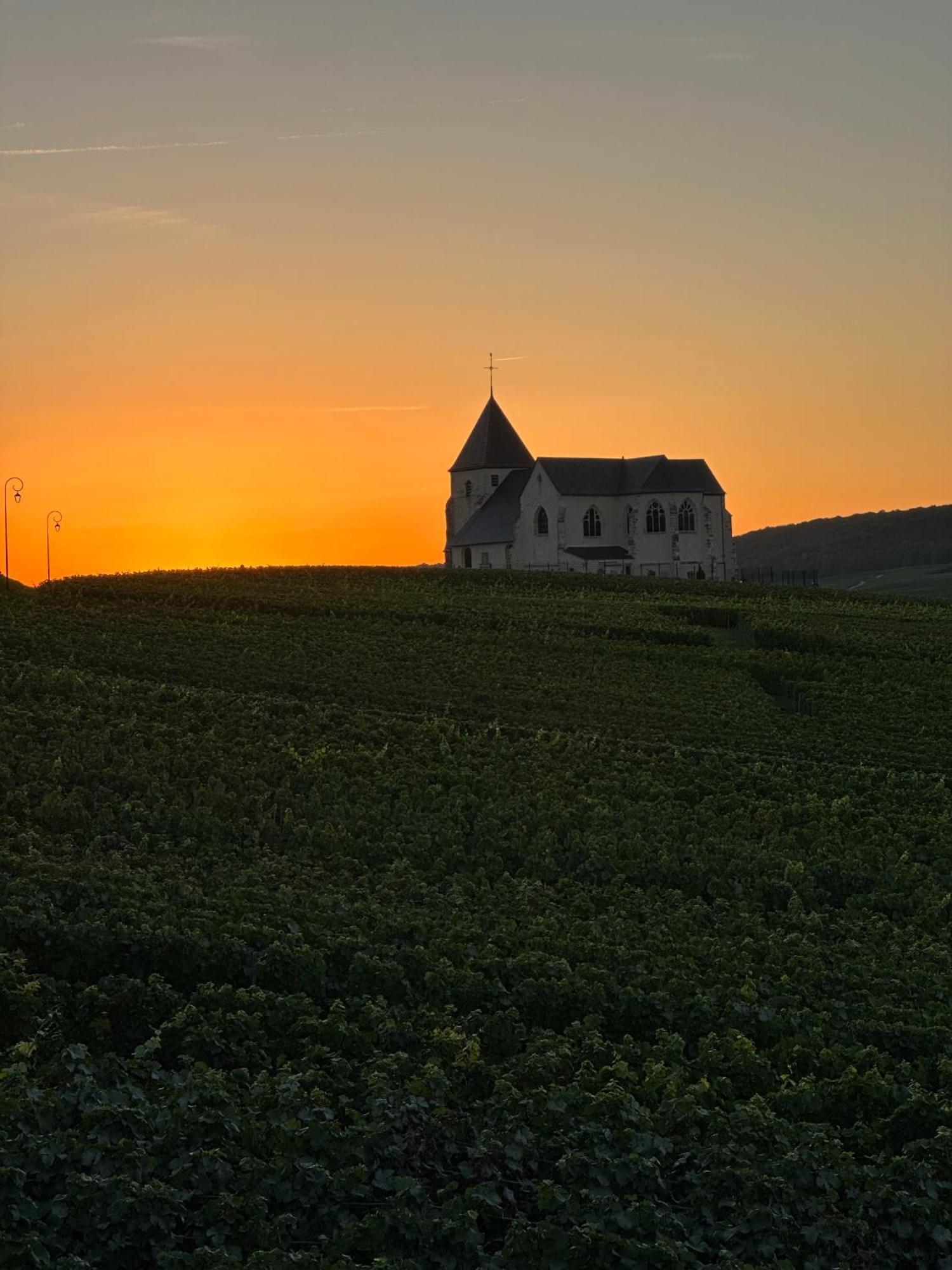 Вилла Au Coeur Du Terroir Champenois Chavot-Courcourt Экстерьер фото